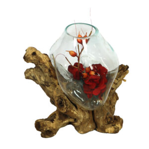 Teak root with glass
